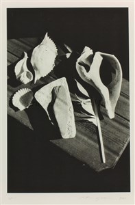 Image description is not available for 2013.088